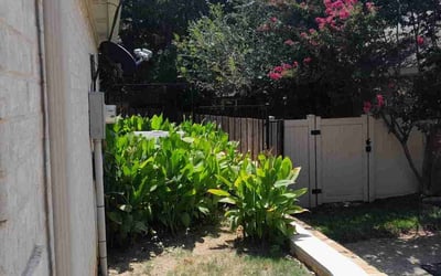 Photo of Kiacia H.'s yard after getting tree care in Azle, TX