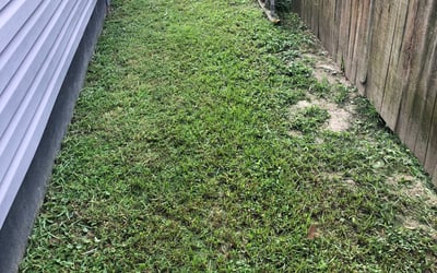 Photo of Courtney M.'s yard after getting landscaping in Point Harbor, NC