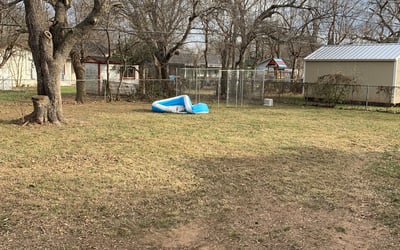 Photo of Amy S.'s yard after getting landscaping in Nemo, TX