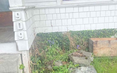 Photo of Rachael G.'s yard after getting landscaping in Orting, WA
