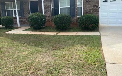 Photo of Tonya M.'s yard after getting tree care in Adairsville, GA