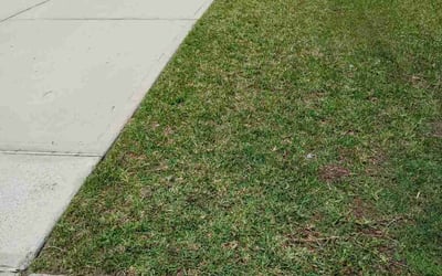 Photo of Paul Z.'s yard after getting landscaping in Channelview, TX