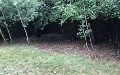 Photo of Timothy H.'s yard after getting landscaping in Jacksontown, OH