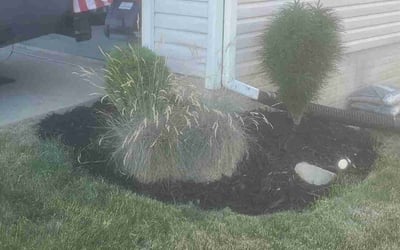 Photo of Lisa B.'s yard after getting landscaping in Novelty, OH