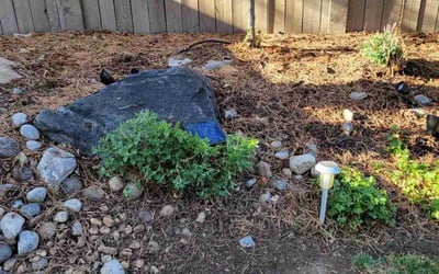 Photo of Kristen C.'s yard after getting landscaping in Boulder, CO