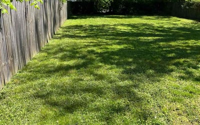 Photo of Bryan P.'s yard after getting landscaping in Severn, VA