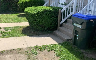 Photo of Donald G.'s yard after getting landscaping in Mansfield, MA