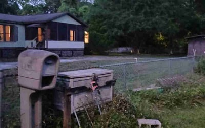 Photo of Michael H.'s yard after getting landscaping in Saint Augustine, FL