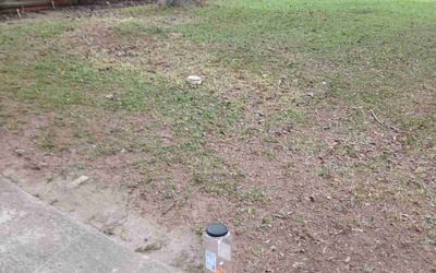 Photo of Megan G.'s yard after getting landscaping in Clarkston, GA