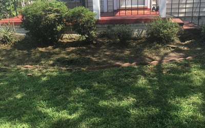 Photo of Anthony S.'s yard after getting landscaping in Maple, NC