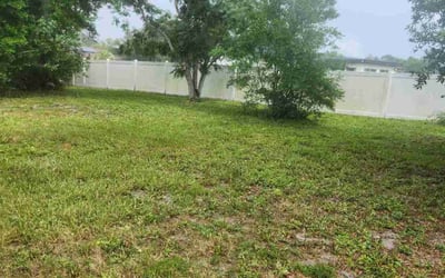 Photo of Holly S.'s yard after getting lawn care in Deltona, FL
