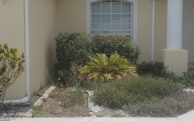 Photo of TIFFANY M.'s yard after getting landscaping in Nalcrest, FL