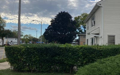 Photo of Renee J.'s yard after getting landscaping in Kewaskum, WI