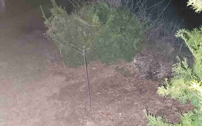 Photo of Mark S.'s yard after getting landscaping in Bethlehem, PA
