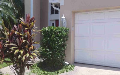 Photo of Emilia V.'s yard after getting tree care in Clermont, FL