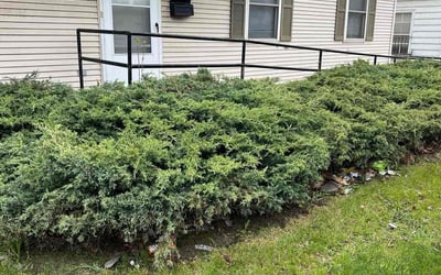 Photo of Linda S.'s yard after getting landscaping in Fredonia, WI