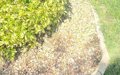 Photo of Melanie S.'s yard after getting landscaping in Crystal Springs, FL