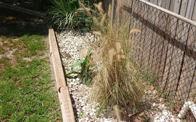 Photo of Denise H.'s yard after getting landscaping in Mango, FL