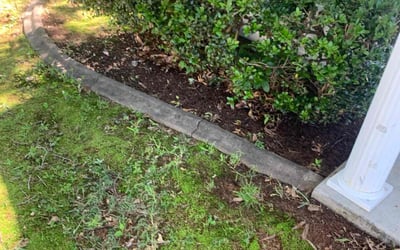 Photo of Carla W.'s yard after getting landscaping in Madison, AL