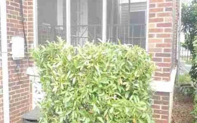 Photo of Melissa V.'s yard after getting landscaping in Rixeyville, VA
