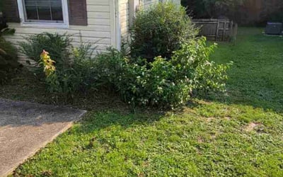 Photo of Kim B.'s yard after getting landscaping in Bagdad, FL