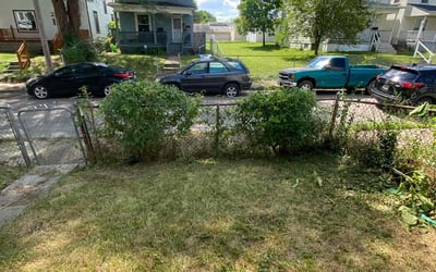 Photo of Jennifer C.'s yard after getting tree care in Mansfield, OH