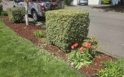 Photo of Robert G.'s yard after getting landscaping in Kirkland, WA