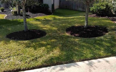 Photo of Robert R.'s yard after getting landscaping in New Ulm, TX