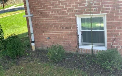 Photo of Megan C.'s yard after getting tree care in Frederick, MD