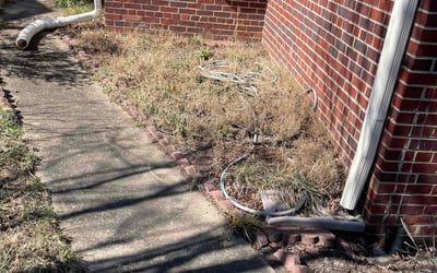 Photo of Julia S.'s yard after getting landscaping in Montpelier, VA