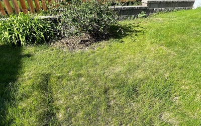 Photo of Donald C.'s yard after getting landscaping in Princeton, MN