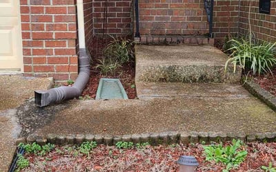 Photo of Stephen T.'s yard after getting landscaping in Westmoreland, TN