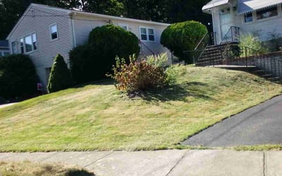 Photo of Richard B.'s yard after getting landscaping in West Haven, CT