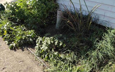 Photo of Karen S.'s yard after getting landscaping in New Palestine, IN