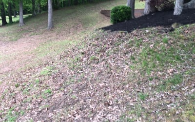 Photo of Angela F.'s yard after getting landscaping in Somerville, TN