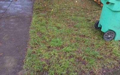 Photo of David L.'s yard after getting landscaping in Molalla, OR