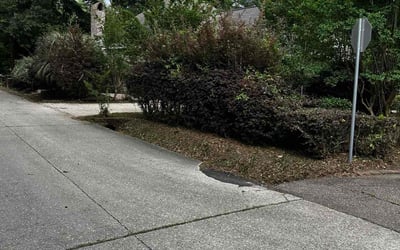 Photo of Steve k.'s yard after getting landscaping in Covington, LA