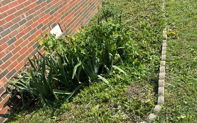 Photo of Kyle S.'s yard after getting landscaping in Prague, OK