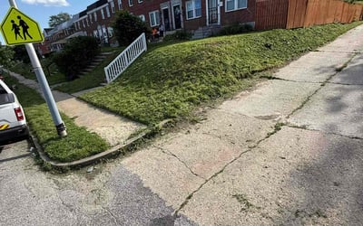 Photo of Quincy R.'s yard after getting landscaping in Baltimore, MD