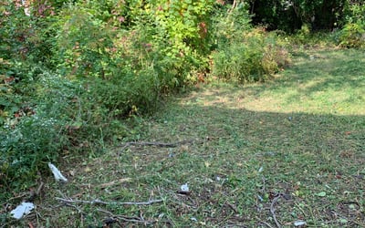 Photo of Toby D.'s yard after getting landscaping in Grosse Ile, MI
