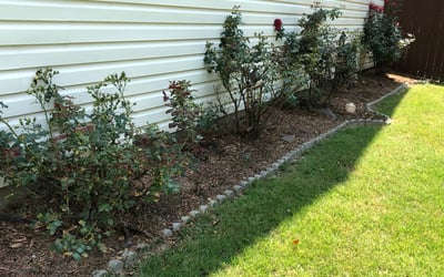 Photo of Jessie J.'s yard after getting landscaping in Moreland, GA