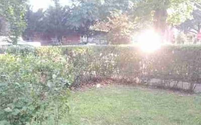 Photo of Joseph P. C.'s yard after getting landscaping in Benedict, MD