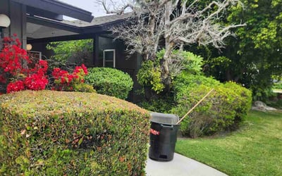 Photo of Alexis B.'s yard after getting landscaping in Seal Beach, CA