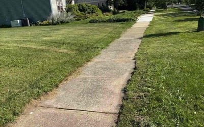 Photo of Lynette B.'s yard after getting tree care in Fort Wayne, IN