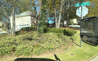 Photo of Joshua J.'s yard after getting tree care in Mcdonough, GA