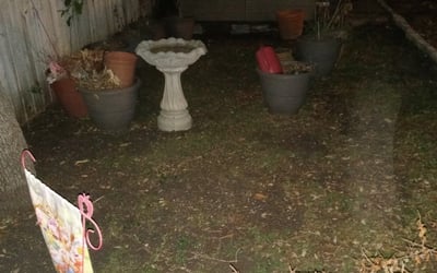 Photo of Pamela B.'s yard after getting landscaping in Lackland A F B, TX