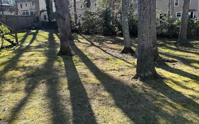 Photo of Sandra F.'s yard after getting landscaping in Wakefield, VA