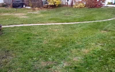 Photo of Kathleen V.'s yard after getting landscaping in Excelsior, MN