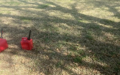 Photo of Tyler B.'s yard after getting tree care in Edmond, OK
