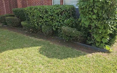 Photo of Jason M.'s yard after getting landscaping in Mansfield, TX